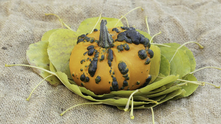 Similar image 9580480