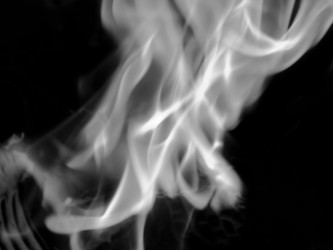 Similar image 9583649