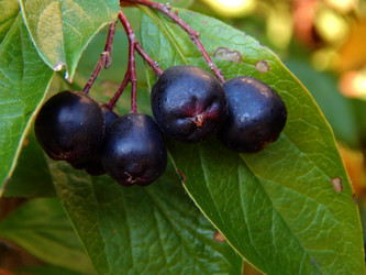 Similar image 9583654