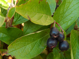 Similar image 9583882