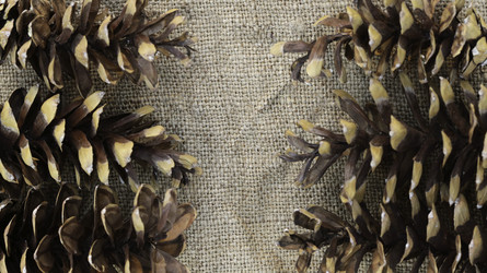 Similar image 9583898