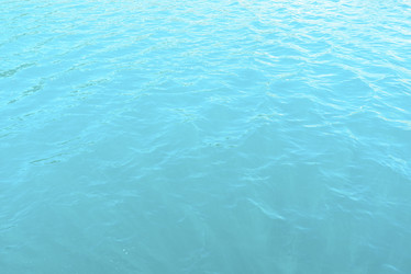 Similar image 9586786