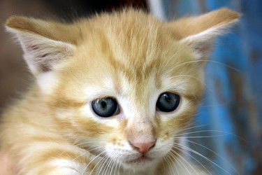 Similar image 9586938