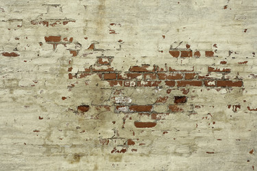 Similar image 9586953