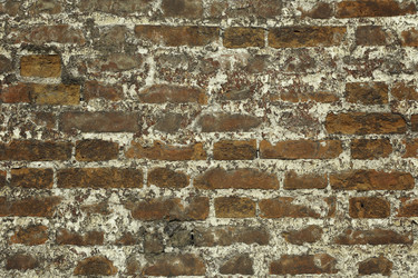 Similar image 9586956