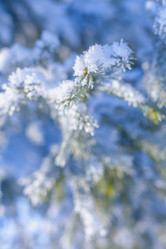 Similar image 9587047