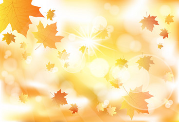 Similar image 9588942