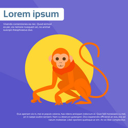 Similar image 9589453