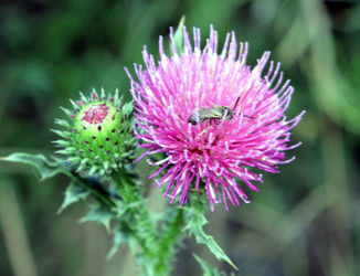 Similar image 9624063