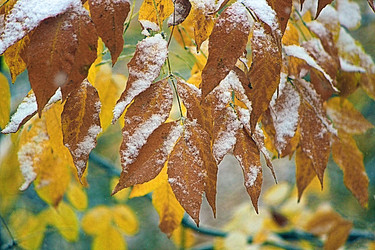 Similar image 9624066