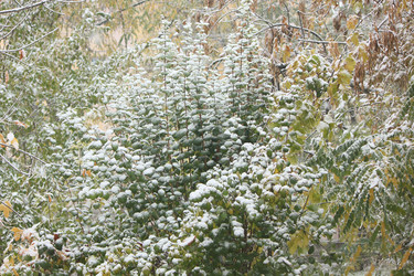 Similar image 9624068