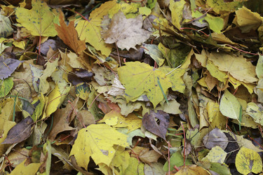 Similar image 9624205