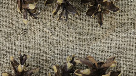 Similar image 9624207