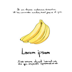 Similar image 9626042