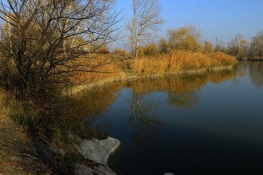 Similar image 9626311