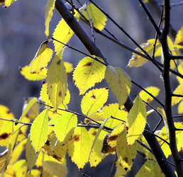 Similar image 9626535