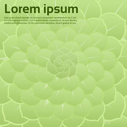 Similar image 9628219