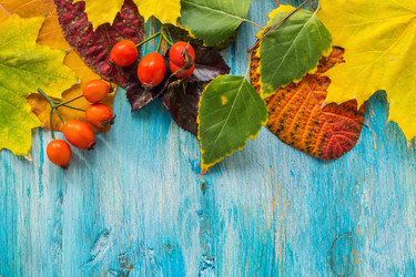 Similar image 9629112