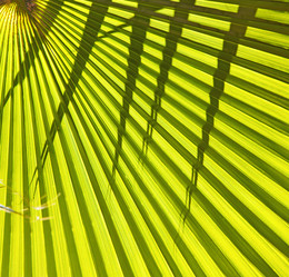 Similar image 9629168