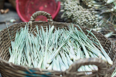 Similar image 9631749