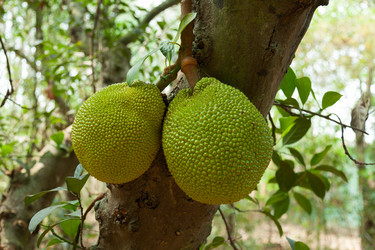 Similar image 9631872