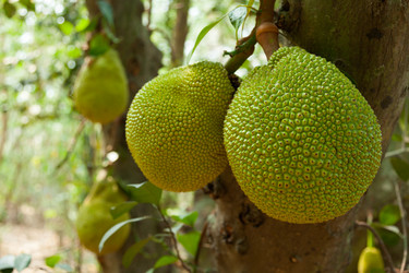 Similar image 9631882