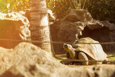 Similar image 9631969