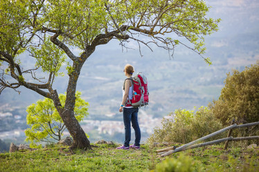 Similar image 9637474