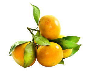 Similar image 9637692