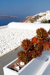 Similar image 9642786