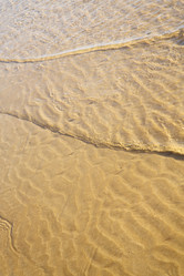 Similar image 9642928