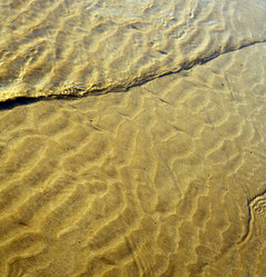 Similar image 9643696