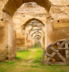 Similar image 9643711