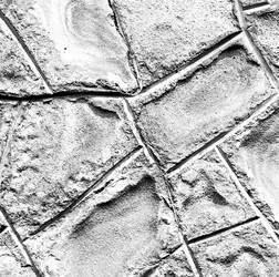 Similar image 9645846