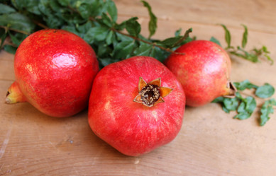 Similar image 9647240