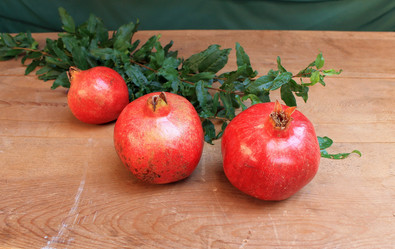 Similar image 9647241