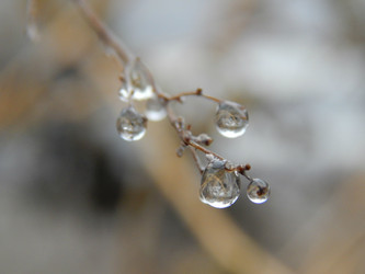 Similar image 9647455