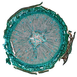 Similar image 9647711