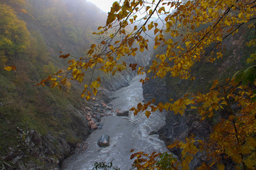 Similar image 9655664