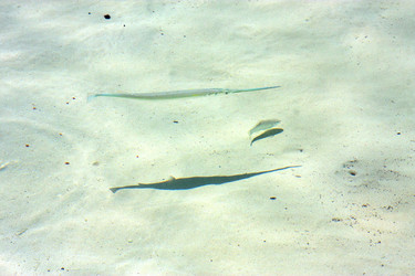 Similar image 9655862