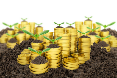 Similar image 9656178