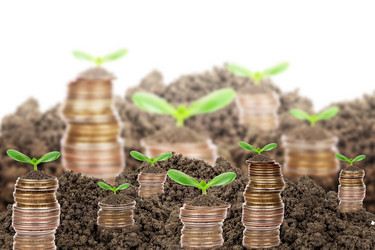 Similar image 9656180