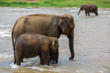 Similar image 9665260