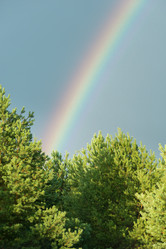 Similar image 9665264