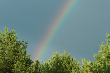 Similar image 9665266