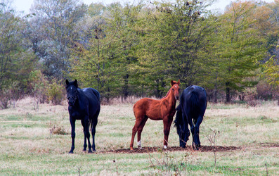 Similar image 9665279