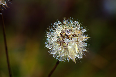 Similar image 9665284