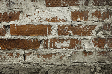 Similar image 9665466