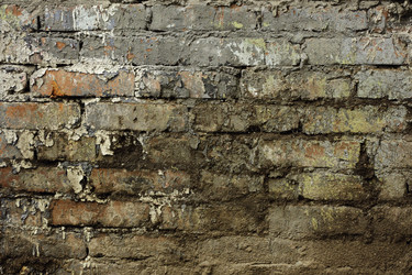 Similar image 9665852