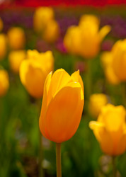 Similar image 9666176